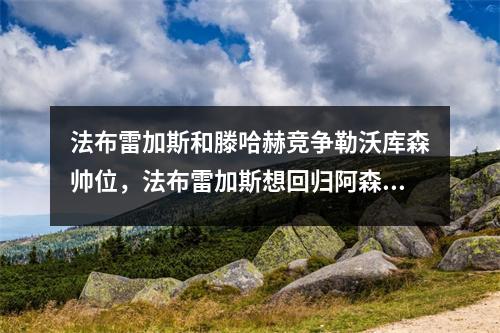 法布雷加斯和滕哈赫竞争勒沃库森帅位，法布雷加斯想回归阿森纳