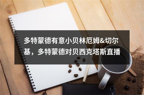 多特蒙德有意小贝林厄姆&切尔基，多特蒙德对贝西克塔斯直播