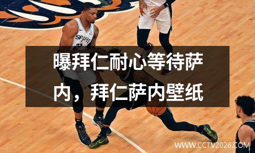 曝拜仁耐心等待萨内，拜仁萨内壁纸