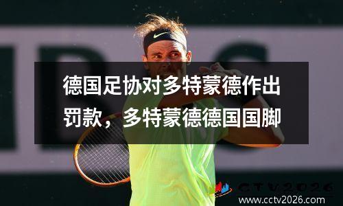 德国足协对多特蒙德作出罚款，多特蒙德德国国脚