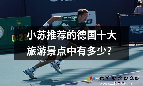小苏推荐的德国十大旅游景点中有多少？