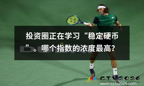 投资圈正在学习“稳定硬币”。哪个指数的浓度最高？