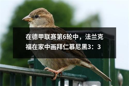 在德甲联赛第6轮中，法兰克福在家中画拜仁慕尼黑3：3