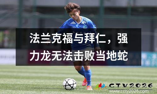 法兰克福与拜仁，强力龙无法击败当地蛇