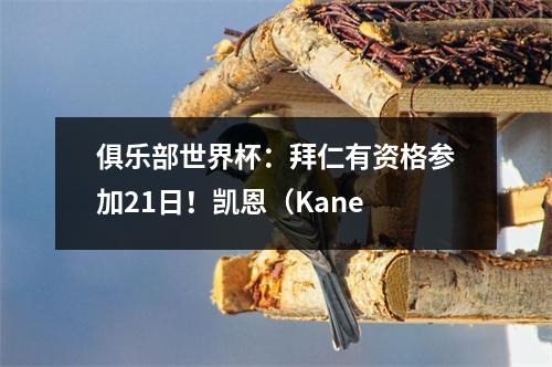 俱乐部世界杯：拜仁有资格参加21日！凯恩（Kane