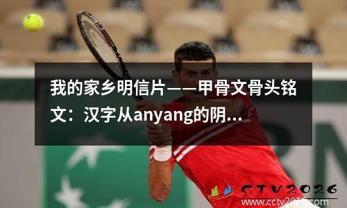 我的家乡明信片——甲骨文骨头铭文：汉字从anyang的阴部遗址出来