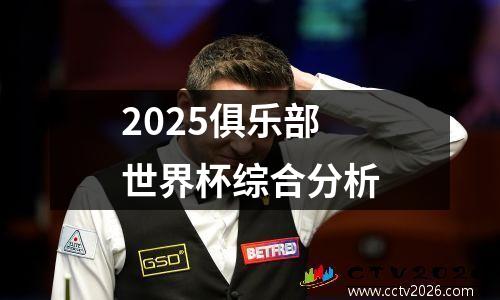 2025俱乐部世界杯综合分析