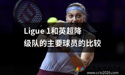 Ligue 1和英超降级队的主要球员的比较