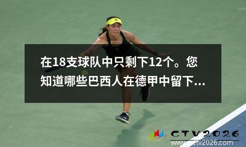 在18支球队中只剩下12个。您知道哪些巴西人在德甲中留下来吗？