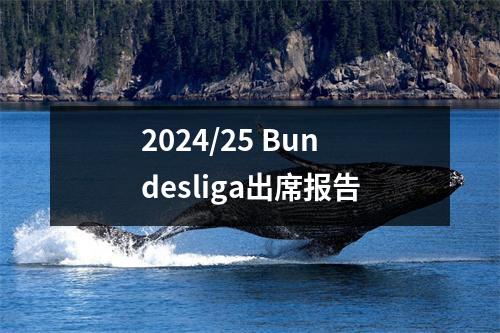 2024/25 Bundesliga出席报告
