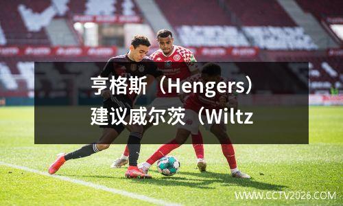 亨格斯（Hengers）建议威尔茨（Wiltz