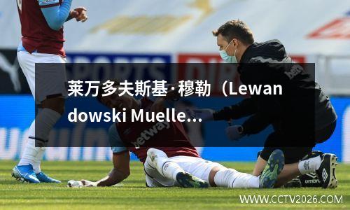 莱万多夫斯基·穆勒（Lewandowski Mueller）在德甲的得分，托利桑（Tolisanne）得分，拜仁（Bayern）41赫塔（Hertha）连续两次胜利和6分领先