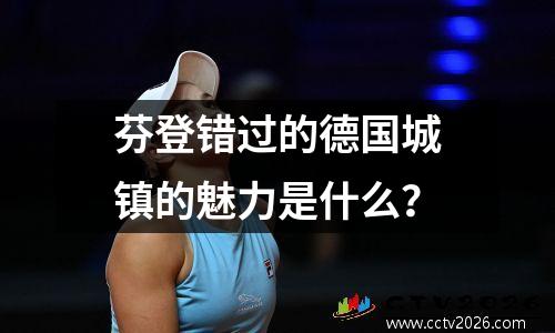 芬登错过的德国城镇的魅力是什么？