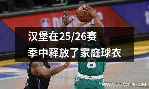 汉堡在25/26赛季中释放了家庭球衣