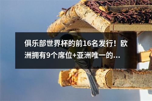 俱乐部世界杯的前16名发行！欧洲拥有9个席位+亚洲唯一的幼苗，奖金分配排名：皇家马德里第二
