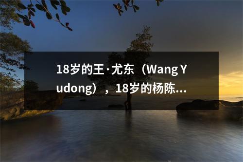 18岁的王·尤东（Wang Yudong），18岁的杨陈（Yang Chen），18岁的东·芬兹（Dong Fangzhuo），他的才能更强？比较查看差距