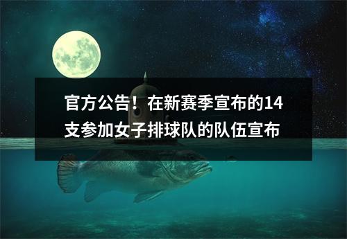 官方公告！在新赛季宣布的14支参加女子排球队的队伍宣布
