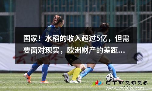 国家！水稻的收入超过5亿，但需要面对现实，欧洲财产的差距越来越大