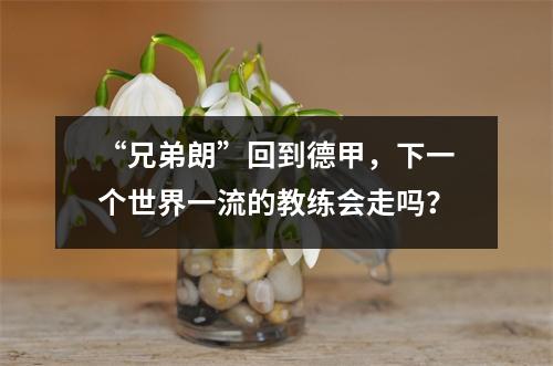 “兄弟朗”回到德甲，下一个世界一流的教练会走吗？