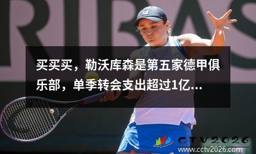 买买买，勒沃库森是第五家德甲俱乐部，单季转会支出超过1亿欧元
