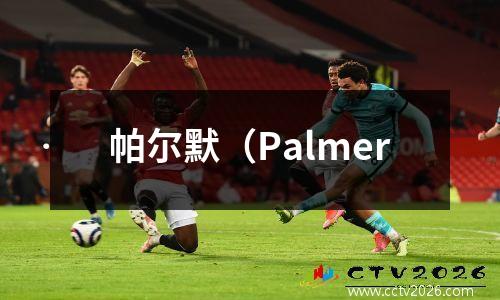 帕尔默（Palmer