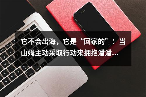 它不会出海，它是“回家的”：当山姆主动采取行动来拥抱潘潘时，中国的质量制造业完成了反击