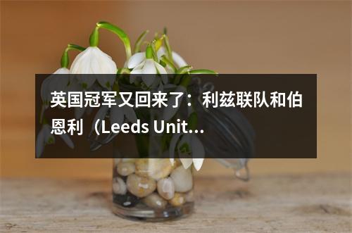 英国冠军又回来了：利兹联队和伯恩利（Leeds United）和伯恩利（Burnley）一起前进，进入超级联赛，新的英超联赛情况即将出现