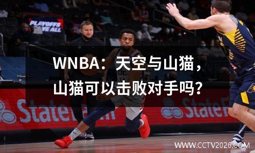 WNBA：天空与山猫，山猫可以击败对手吗？