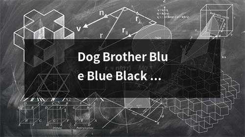 Dog Brother Blue Blue Black Retreat：一篇文章会让您知道Inter Milan和Serie A的所有当前转移