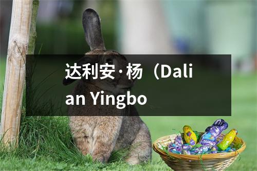 达利安·杨（Dalian Yingbo