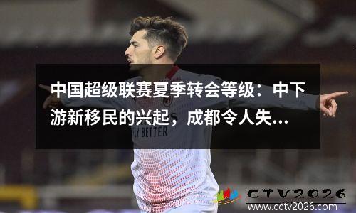 中国超级联赛夏季转会等级：中下游新移民的兴起，成都令人失望，山东与赞美和批评混在一起
