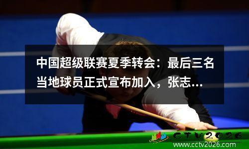 中国超级联赛夏季转会：最后三名当地球员正式宣布加入，张志被借给了NIU