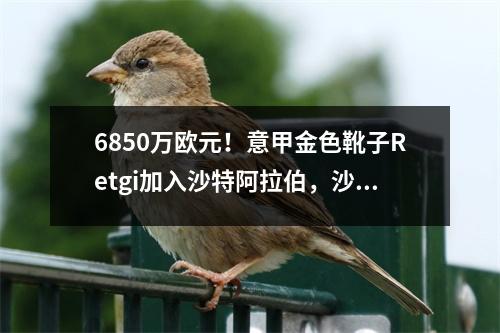6850万欧元！意甲金色靴子Retgi加入沙特阿拉伯，沙特阿拉伯是历史上最昂贵的意大利球员