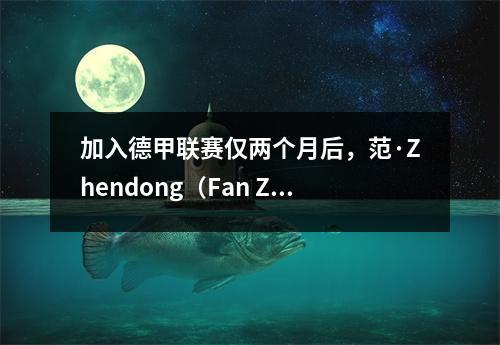加入德甲联赛仅两个月后，范·Zhendong（Fan Zhendong）三度打破了俱乐部的规则，张本的话得以实现