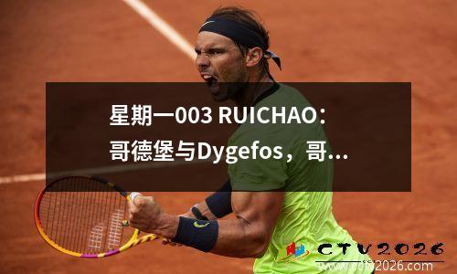 星期一003 RUICHAO：哥德堡与Dygefos，哥德堡深处参与降级区
