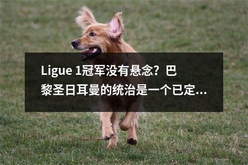 Ligue 1冠军没有悬念？巴黎圣日耳曼的统治是一个已定局的结论