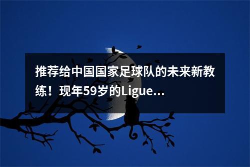 推荐给中国国家足球队的未来新教练！现年59岁的Ligue 1 MVP教练值得考虑，正式公告应占上风