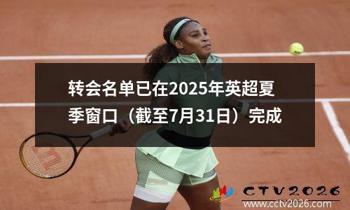 转会名单已在2025年英超夏季窗口（截至7月31日）完成