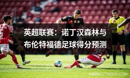 英超联赛：诺丁汉森林与布伦特福德足球得分预测