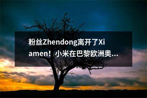 粉丝Zhendong离开了Xiamen！小米在巴黎欧洲奥运会结束后打了26场比赛，记录了24场胜利和2场失利