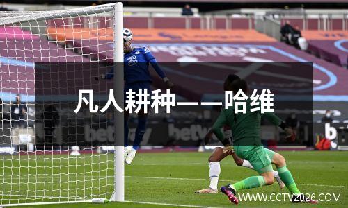 凡人耕种——哈维