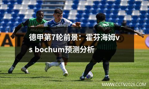 德甲第7轮前景：霍芬海姆vs bochum预测分析