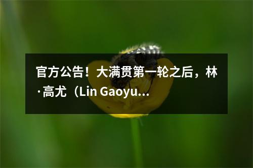 官方公告！大满贯第一轮之后，林·高尤（Lin Gaoyuan）加入了德甲俱乐部