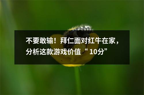 不要敢输！拜仁面对红牛在家，分析这款游戏价值“ 10分”