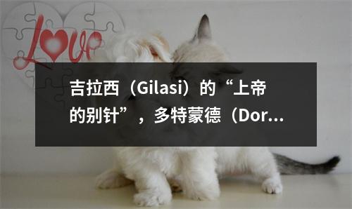 吉拉西（Gilasi）的“上帝的别针”，多特蒙德（Dortmund）努力打破冰块，胜利仍然充满了挑战