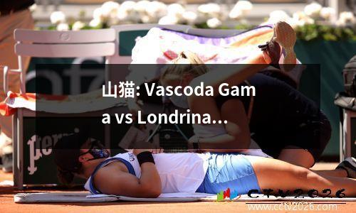 山猫: Vascoda Gama vs Londrina两个任务。预测＃信息分析巴西B Live