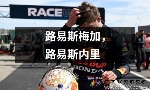 路易斯梅加，路易斯内里