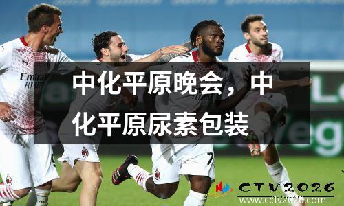 中化平原晚会，中化平原尿素包装