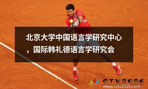 北京大学中国语言学研究中心，国际韩礼德语言学研究会