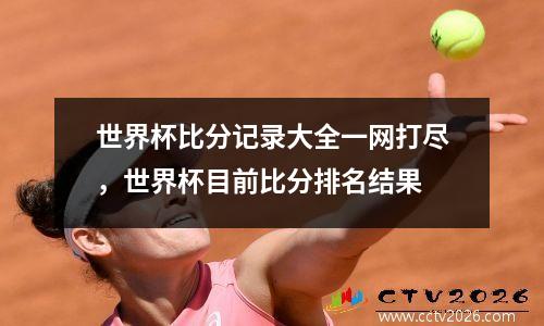 世界杯比分记录大全一网打尽，世界杯目前比分排名结果